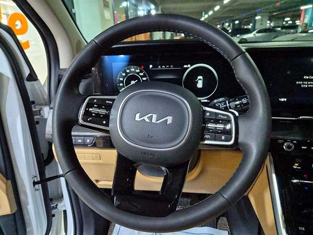 KIA Carnival - Vista 10