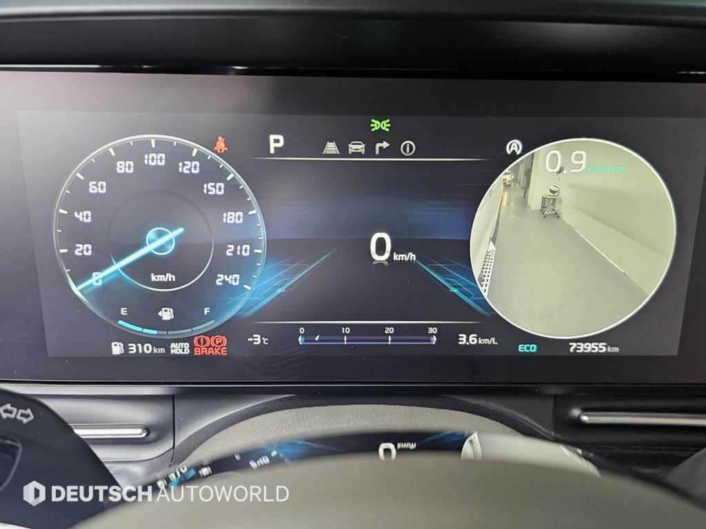 KIA Carnival - Vista 8