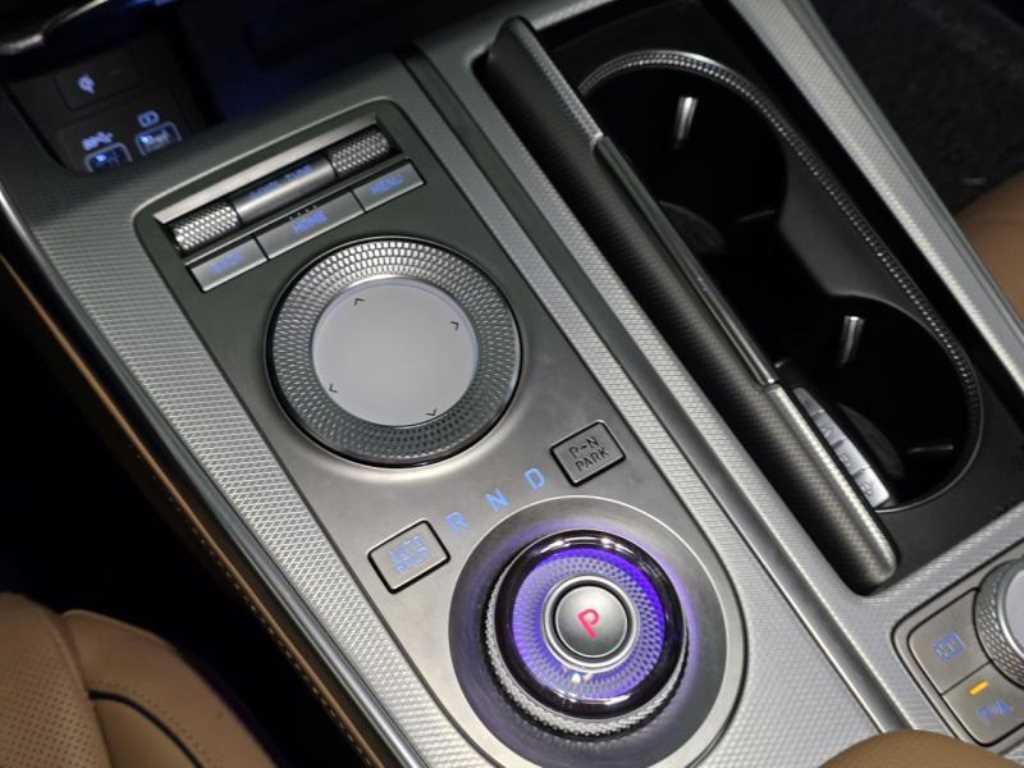 Genesis GV80 - Vista 10