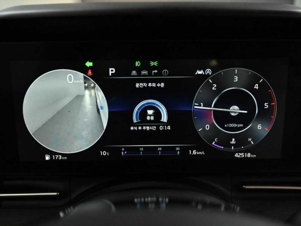 KIA Carnival - Vista 8