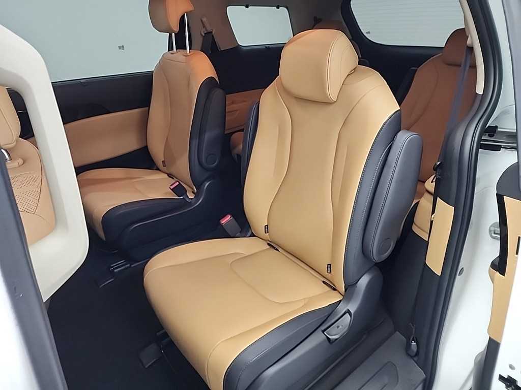 KIA Carnival - Vista 12