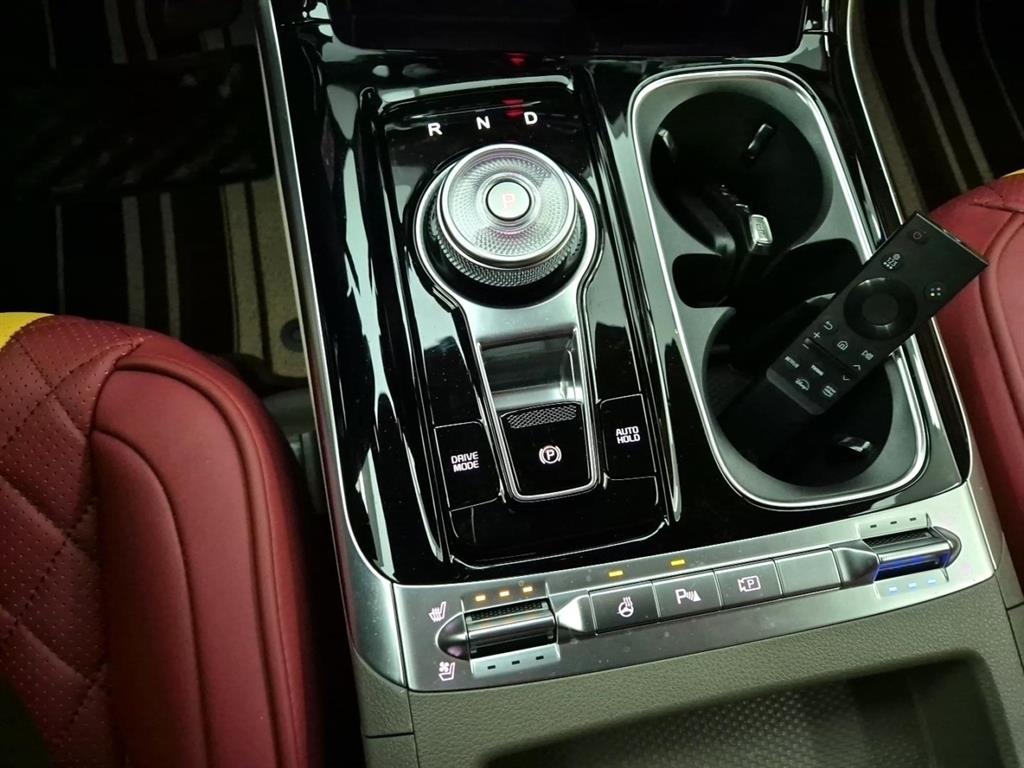 KIA Carnival - Vista 8