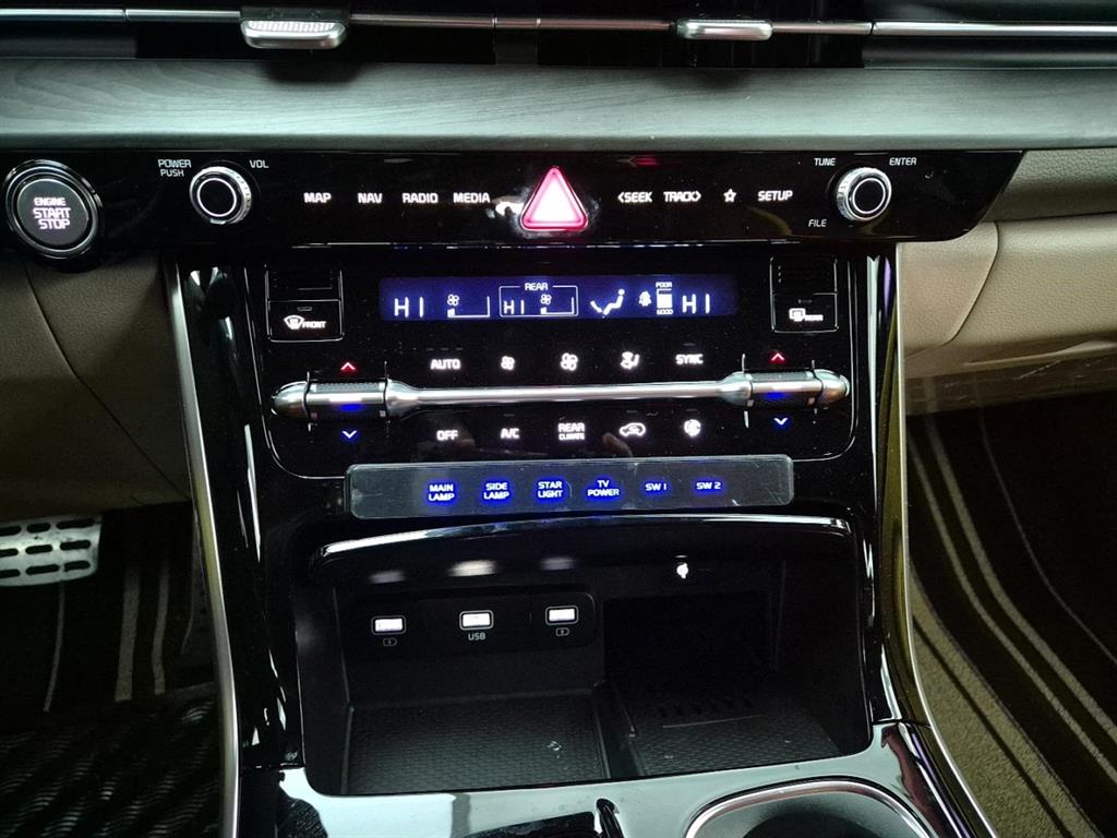 KIA Carnival - Vista 10