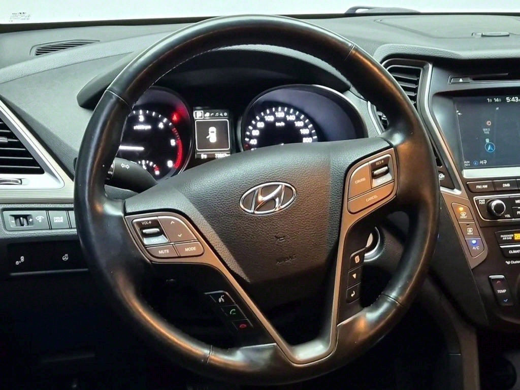 HYUNDAI Maxcruz - Vista 8