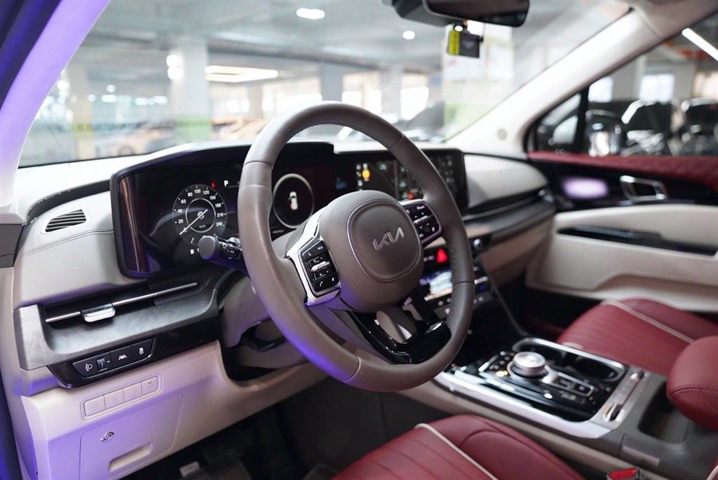 KIA Carnival - Vista 8