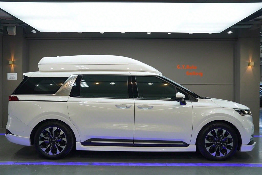 KIA Carnival - Vista 4