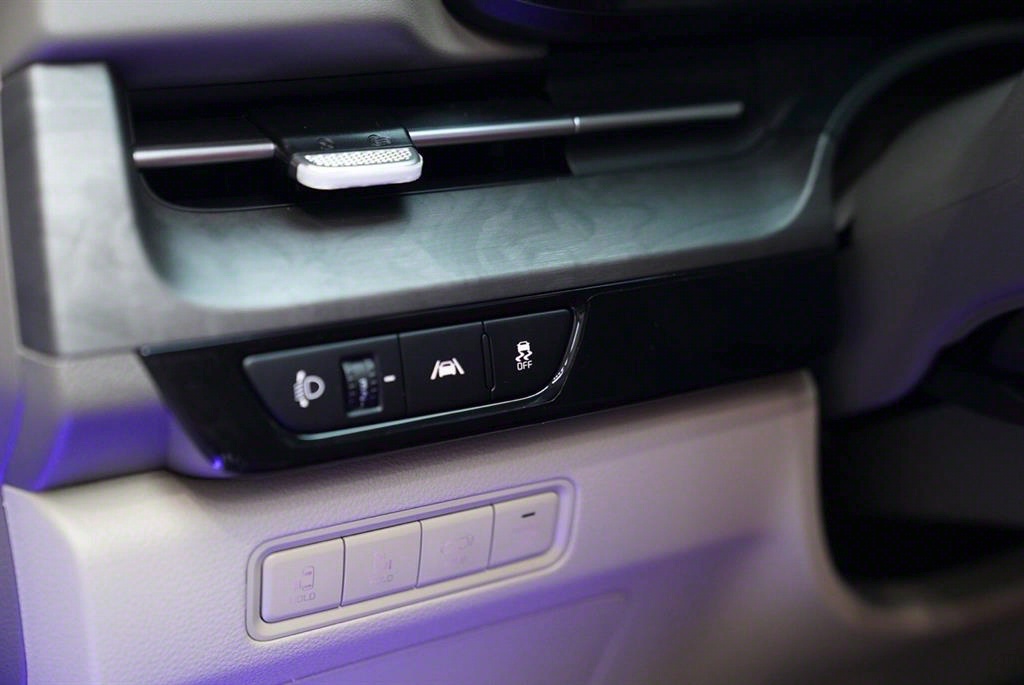 KIA Carnival - Vista 9