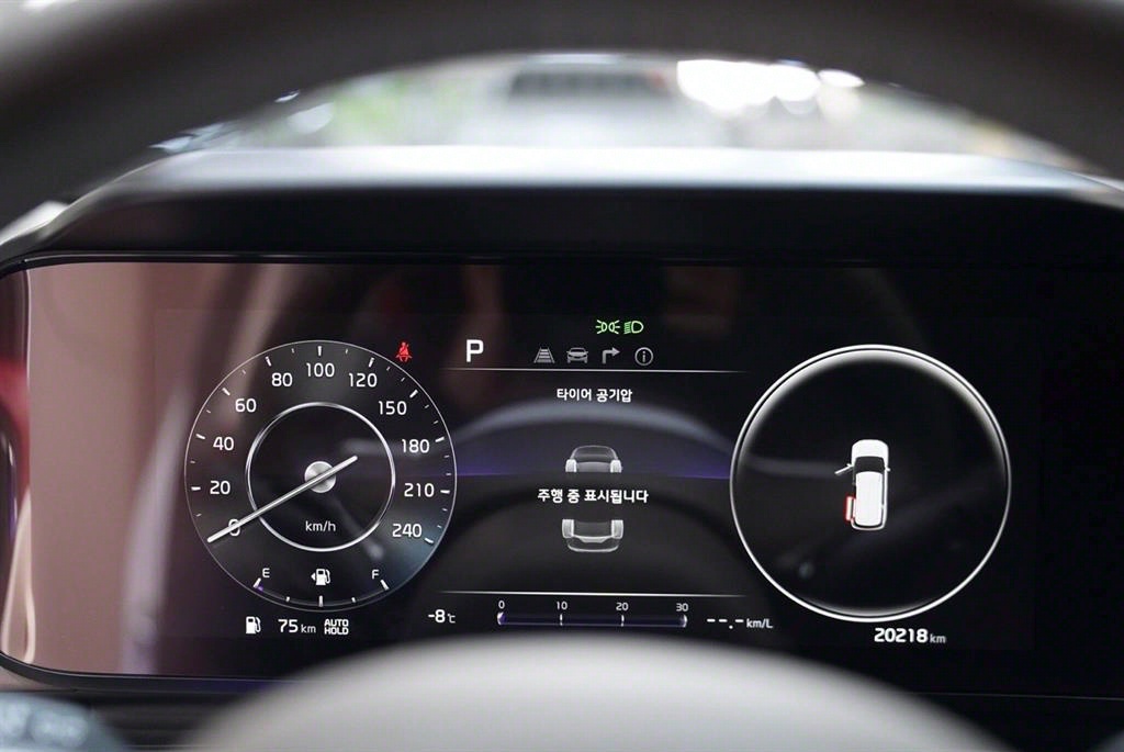 KIA Carnival - Vista 10