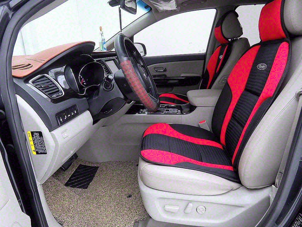 KIA Carnival - Vista 8