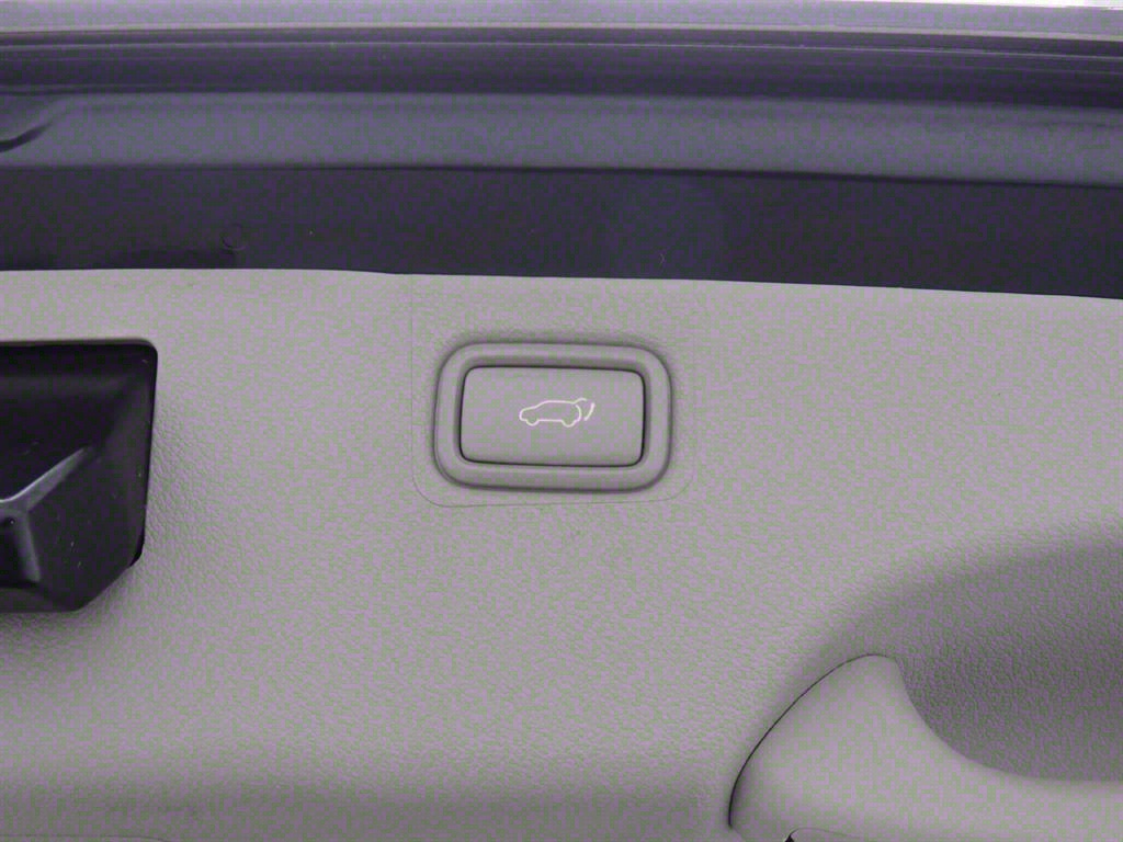 KIA Carnival - Vista 6