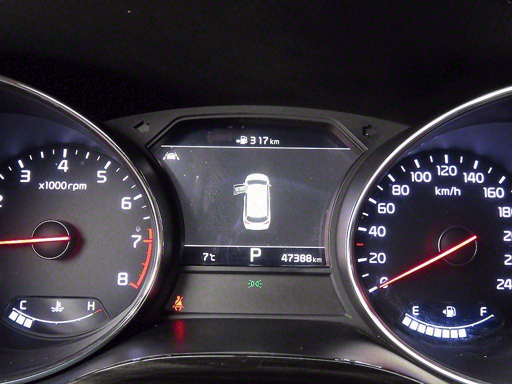 KIA Carnival - Vista 12