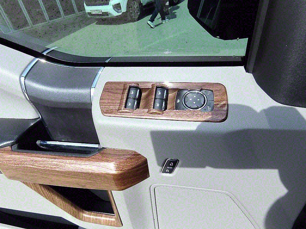 Ford F-Series - Vista 11