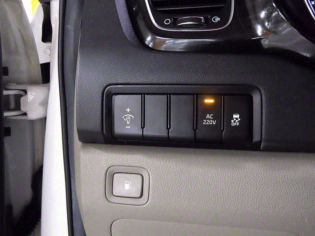 KIA Carnival - Vista 12