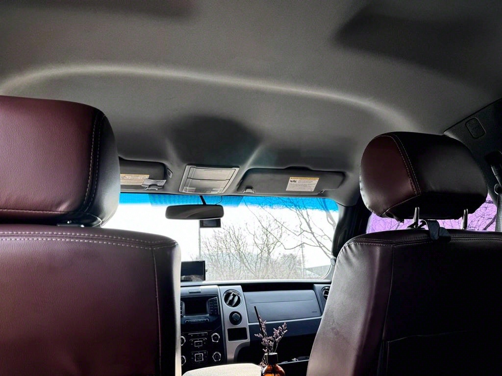 Ford F-Series - Vista 11