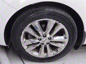 KIA Carnival - Vista 10