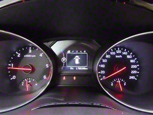 KIA Carnival - Vista 12