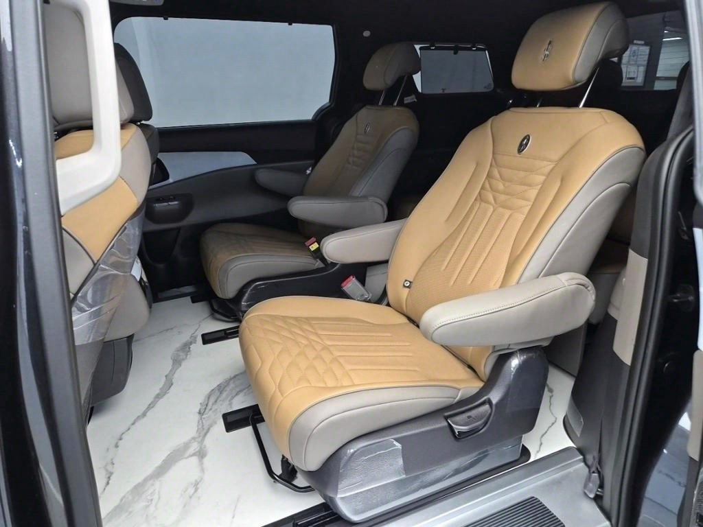 KIA Carnival - Vista 12