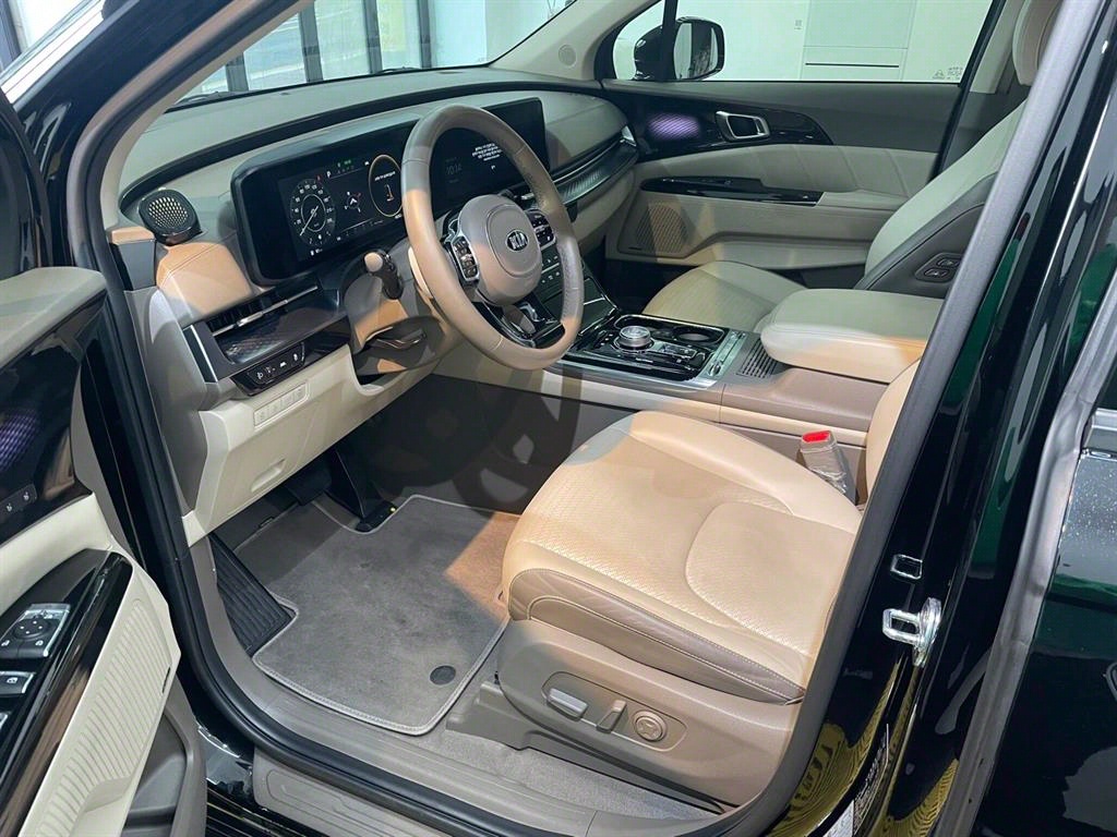 KIA Carnival - Vista 9