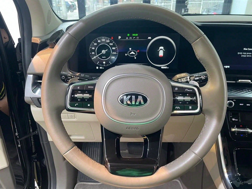 KIA Carnival - Vista 12