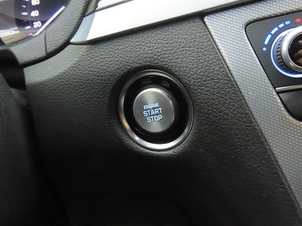 Genesis G80 - Vista 12