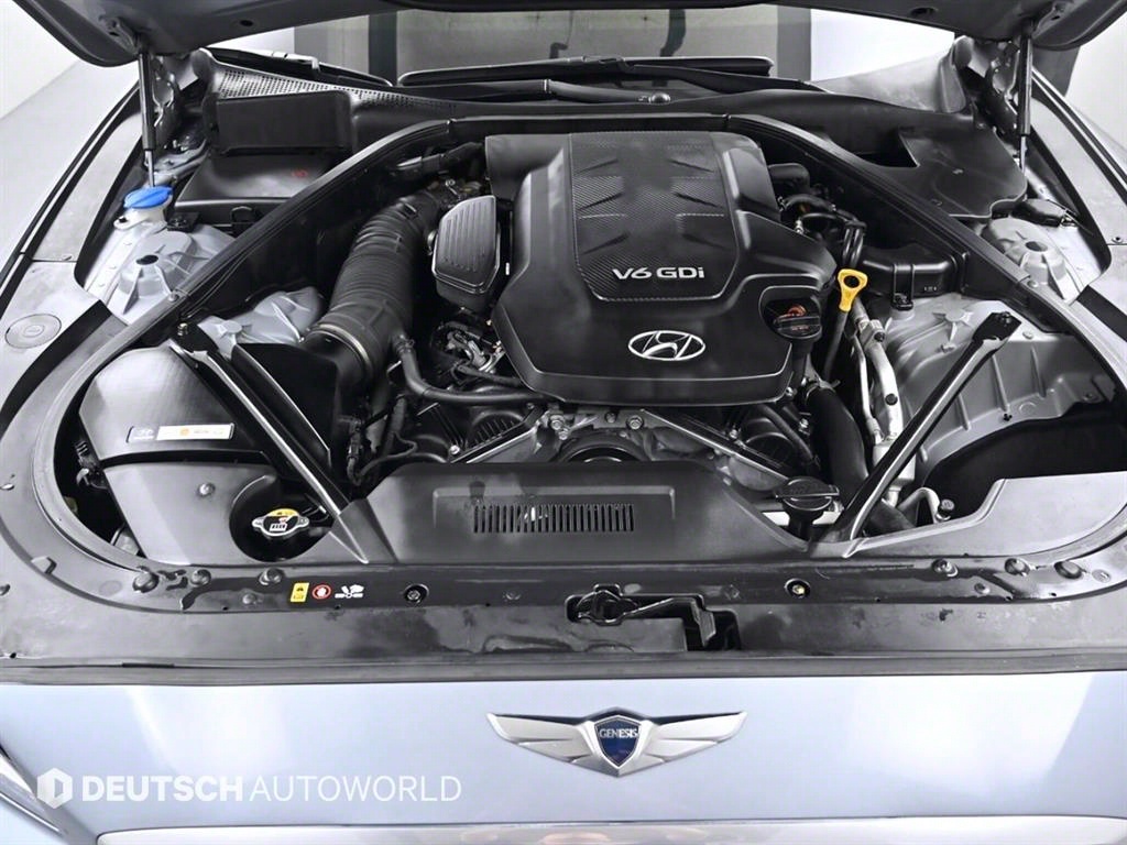 HYUNDAI Genesis - Vista 6