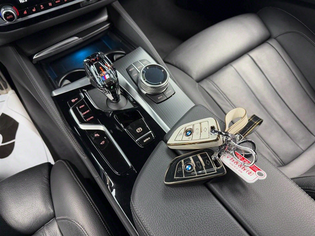 BMW 5 Series - Vista 12