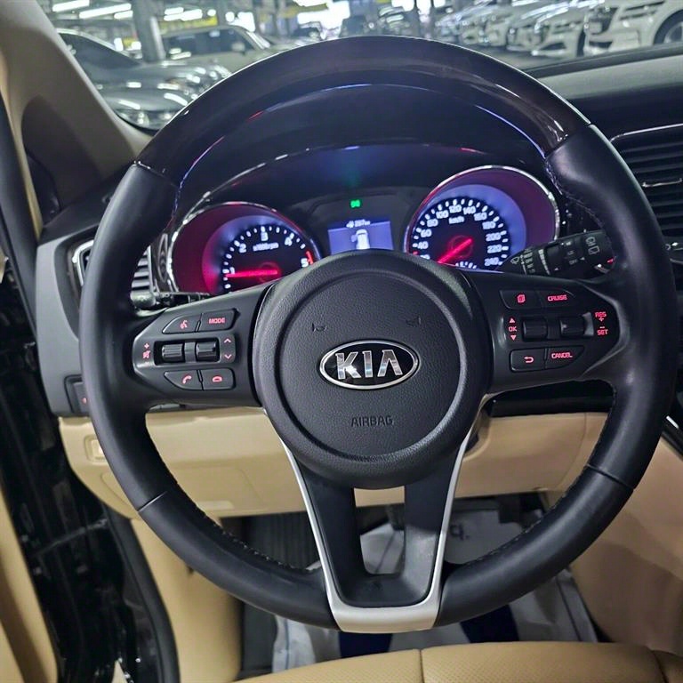 KIA Carnival - Vista 7