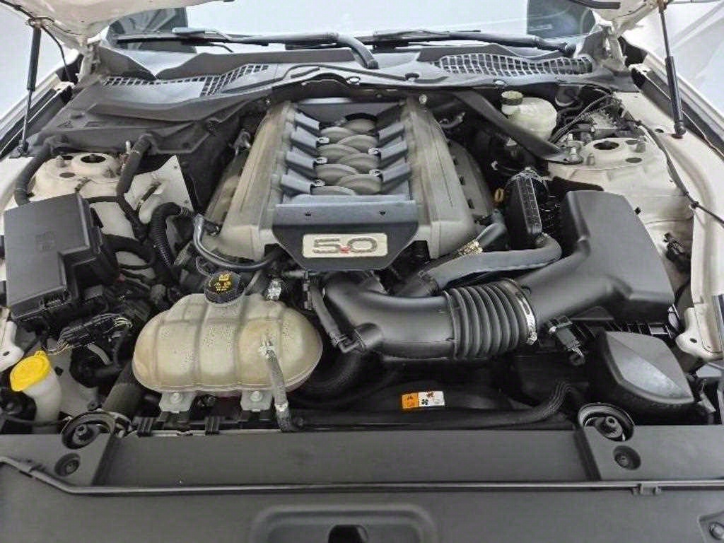 Ford Mustang - Vista 5