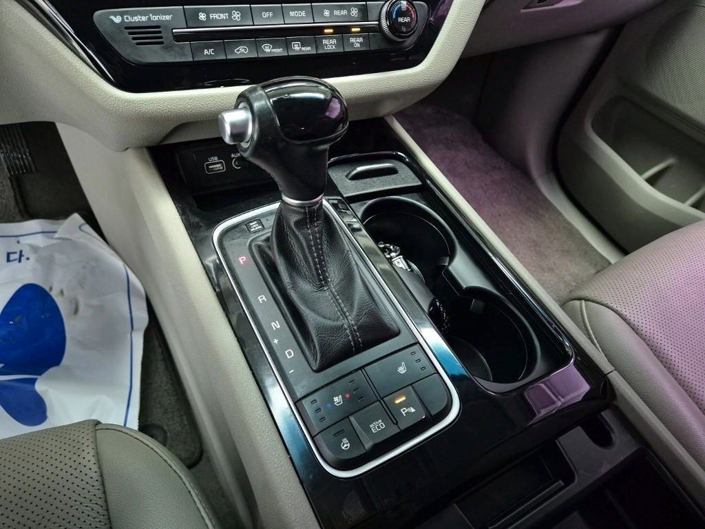 KIA Carnival - Vista 8