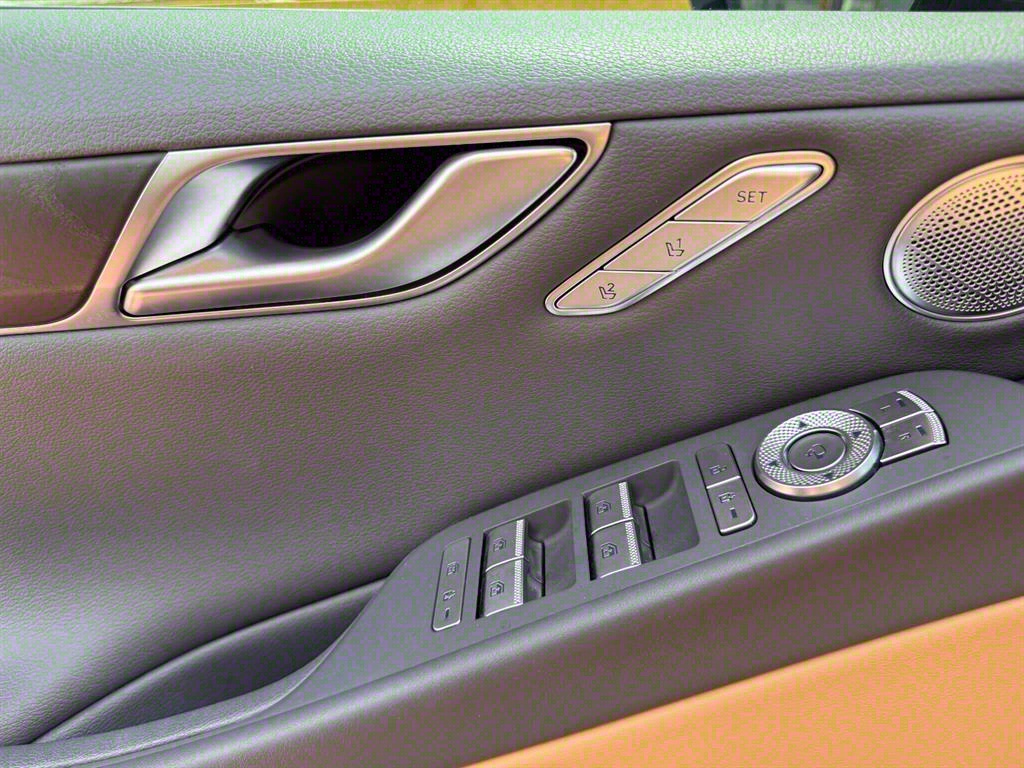 Genesis G80 - Vista 12