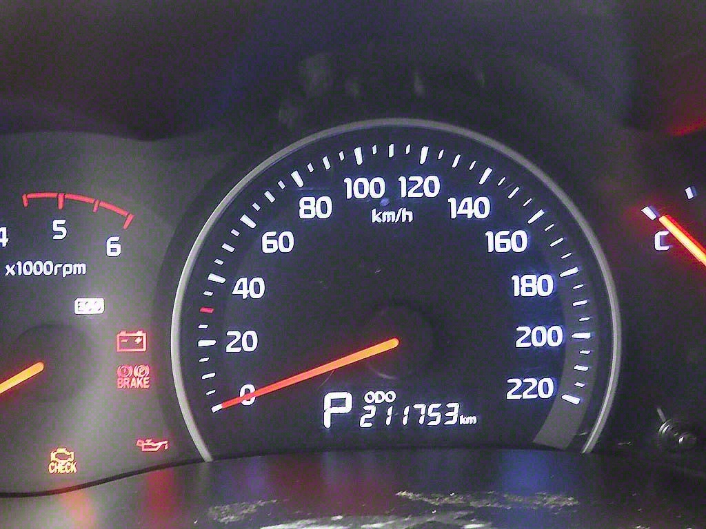 KIA Carnival - Vista 8