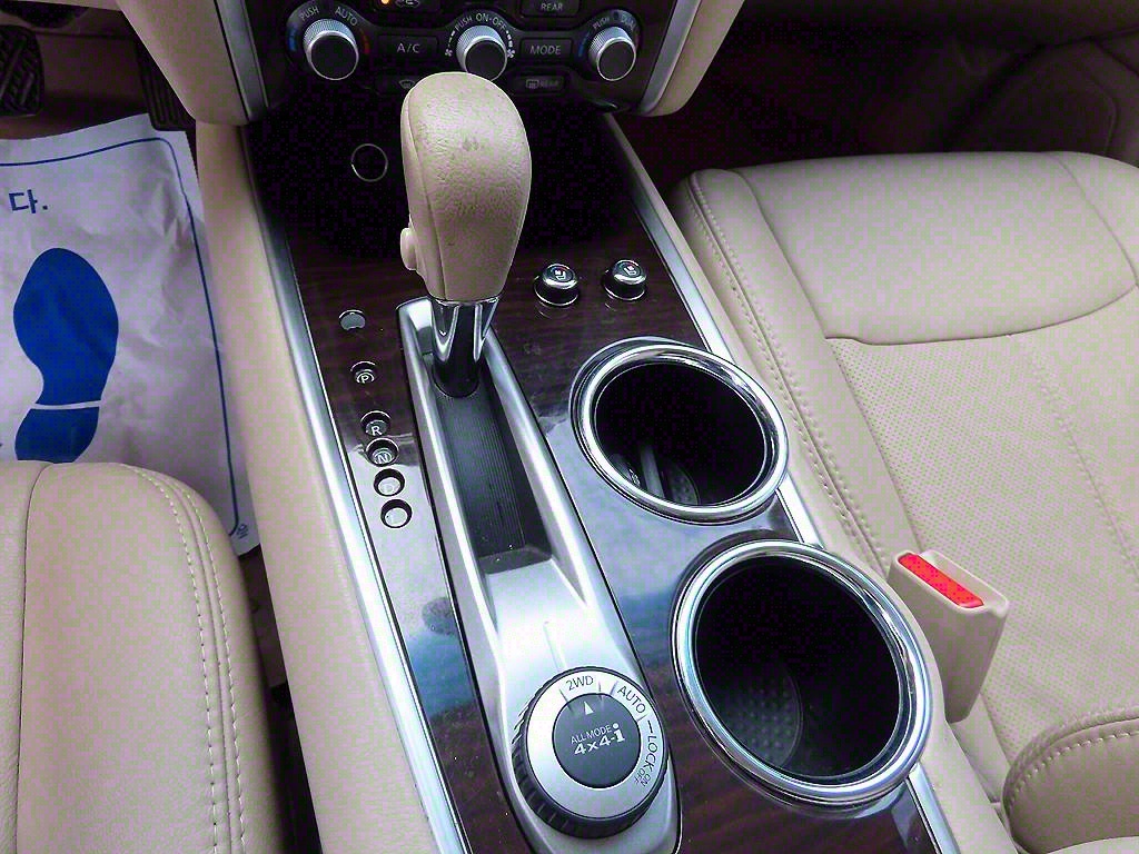 Nissan Pathfinder - Vista 10