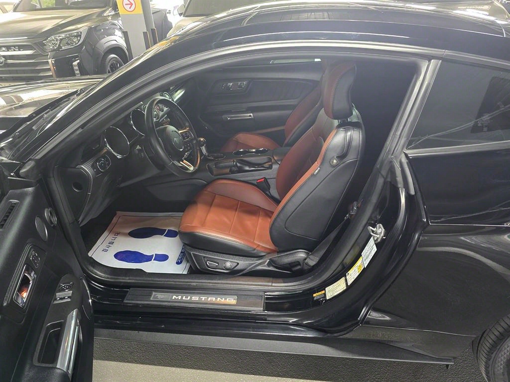 Ford Mustang - Vista 9