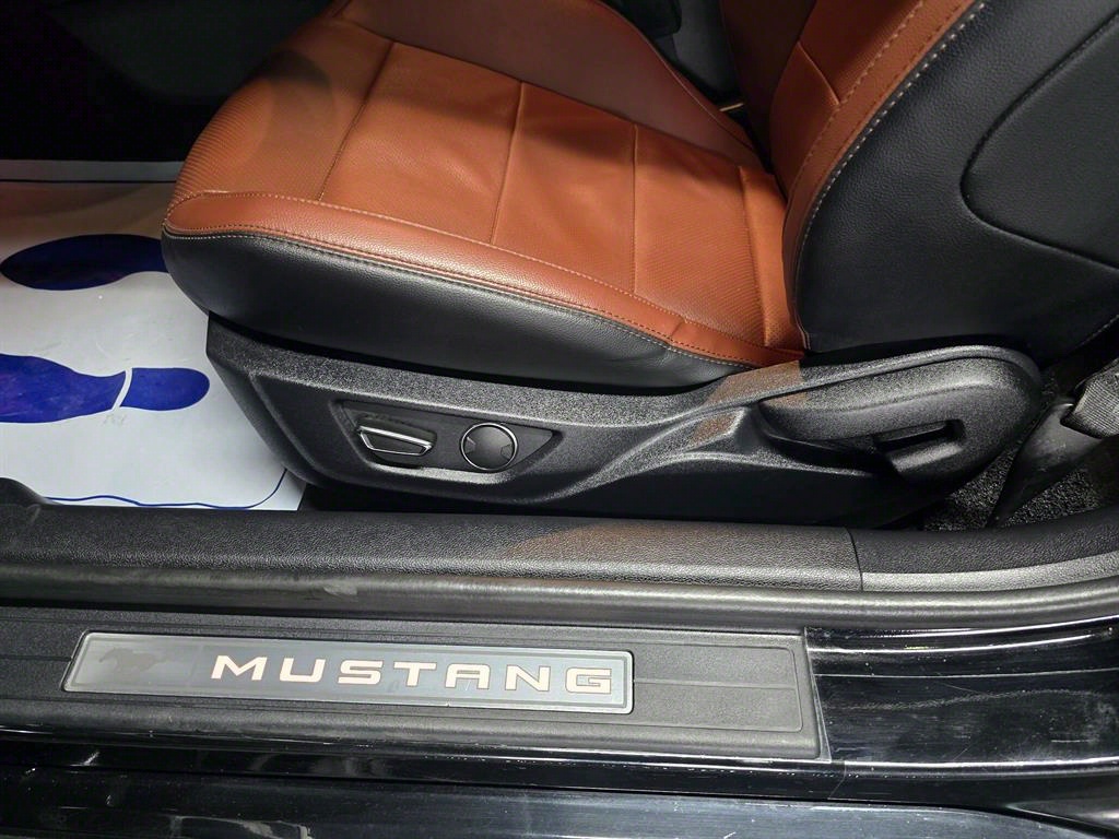 Ford Mustang - Vista 12