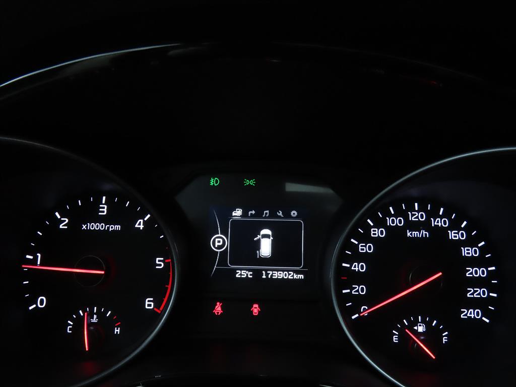 KIA Carnival - Vista 9