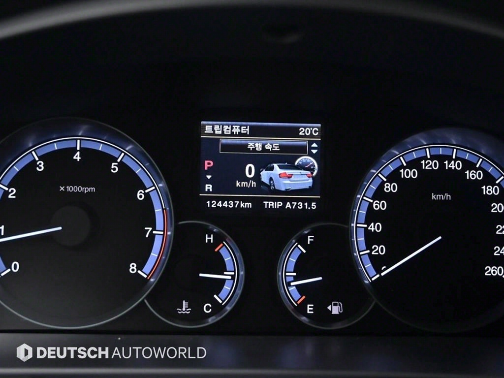 Ssangyong Chairman - Vista 8