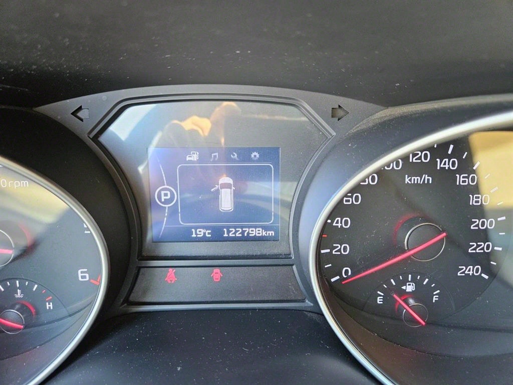 KIA Carnival - Vista 8