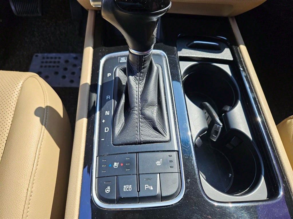 KIA Carnival - Vista 11