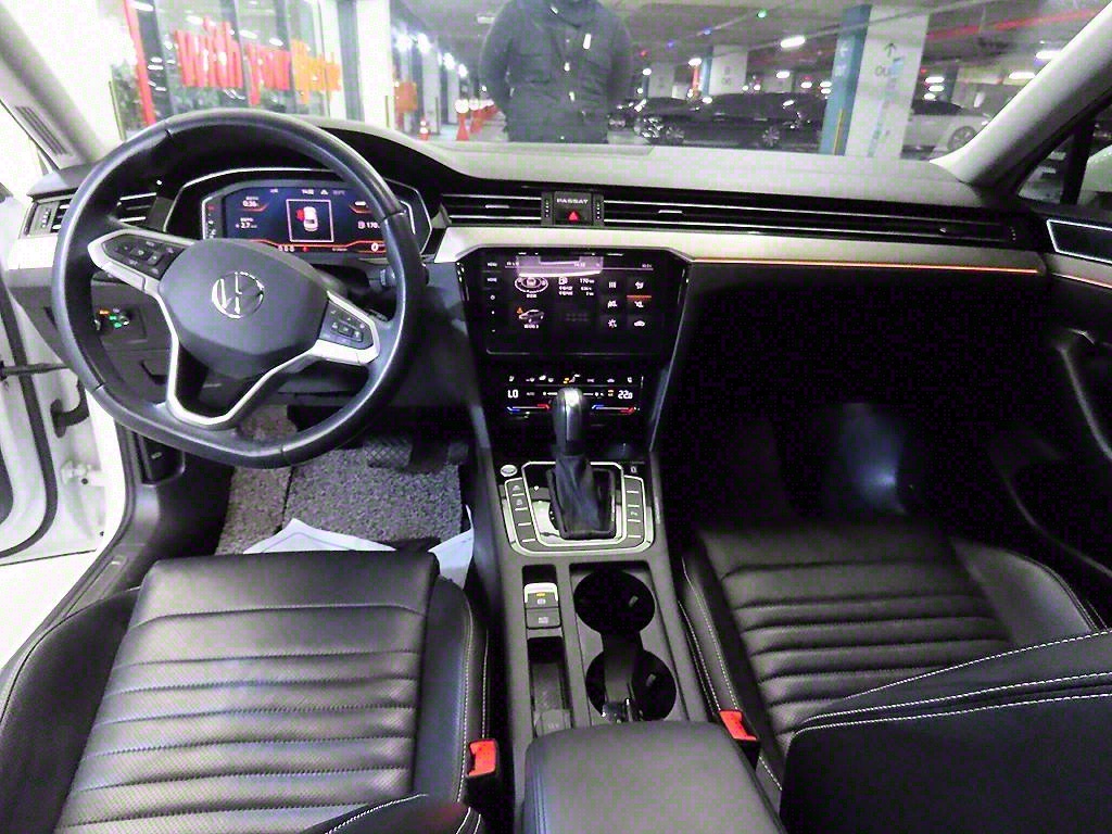 Volkswagen Passat - Vista 10