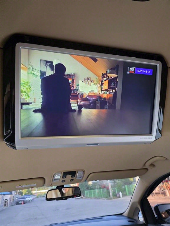 KIA Carnival - Vista 12