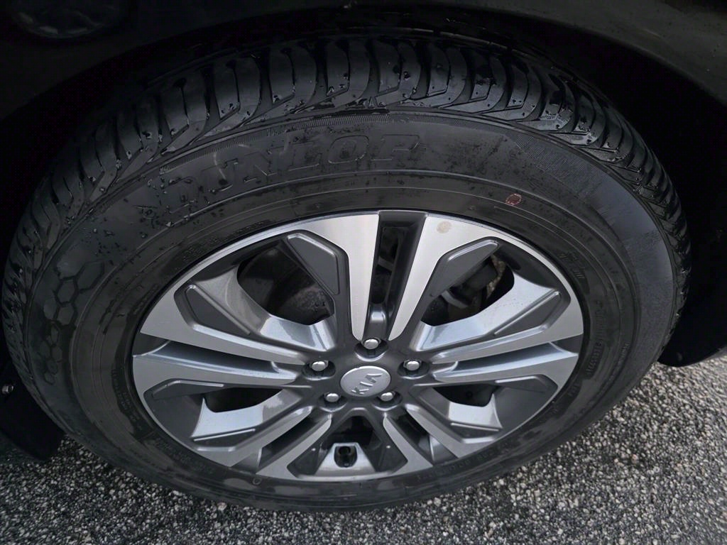 KIA Carnival - Vista 4