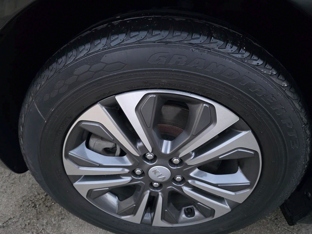 KIA Carnival - Vista 5