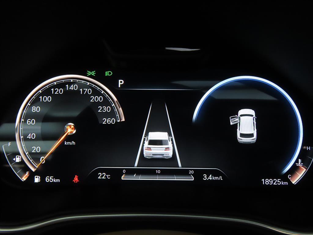 Genesis GV80 - Vista 9