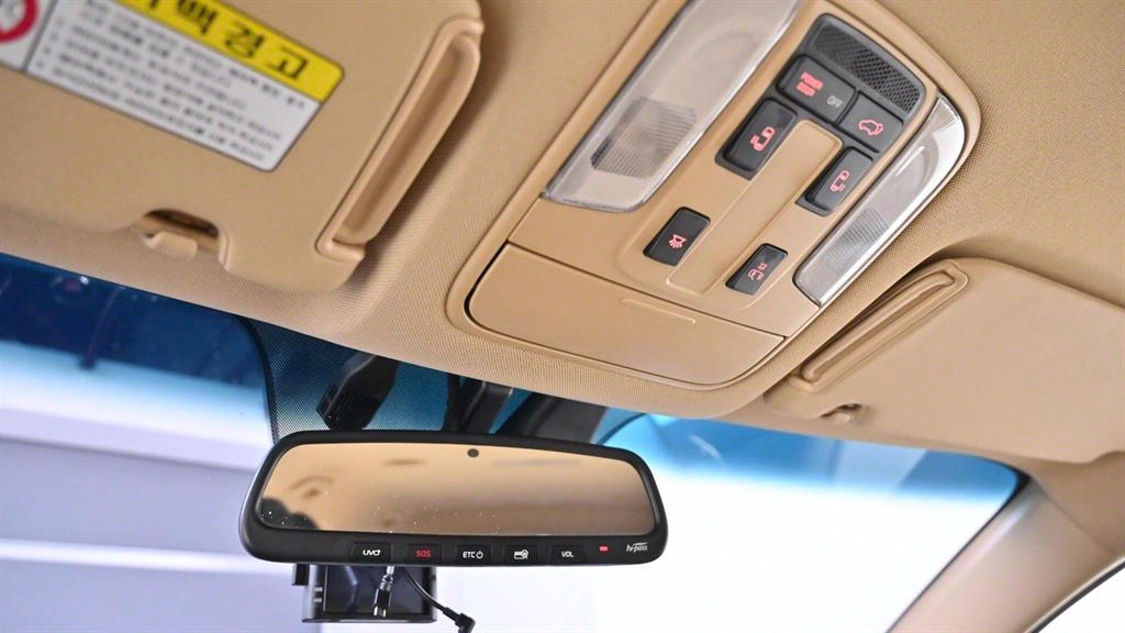 KIA Carnival - Vista 12