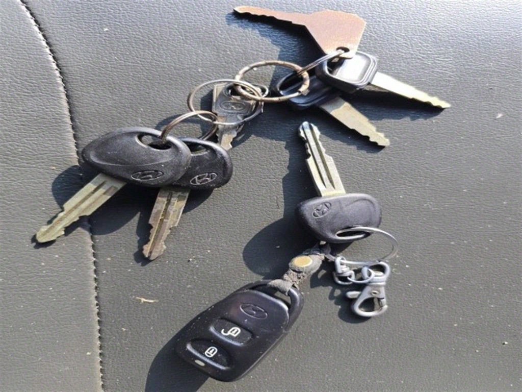 medium and large cargo truck - Vista 11