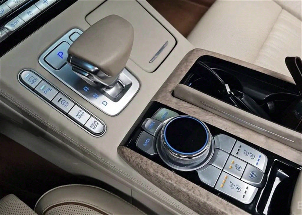 Genesis G90 - Vista 9