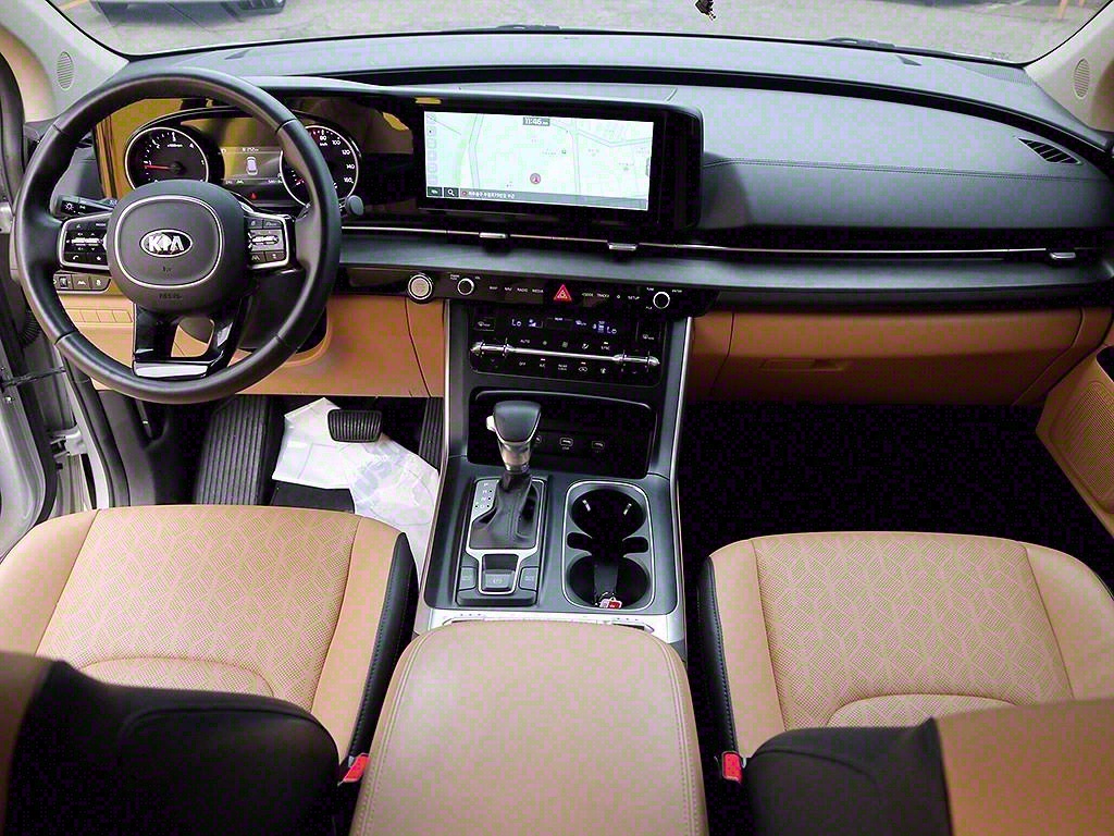 KIA Carnival - Vista 9