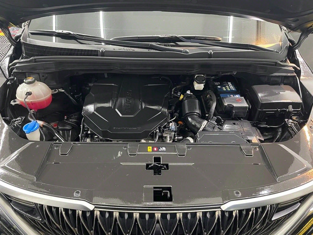 KIA Carnival - Vista 11