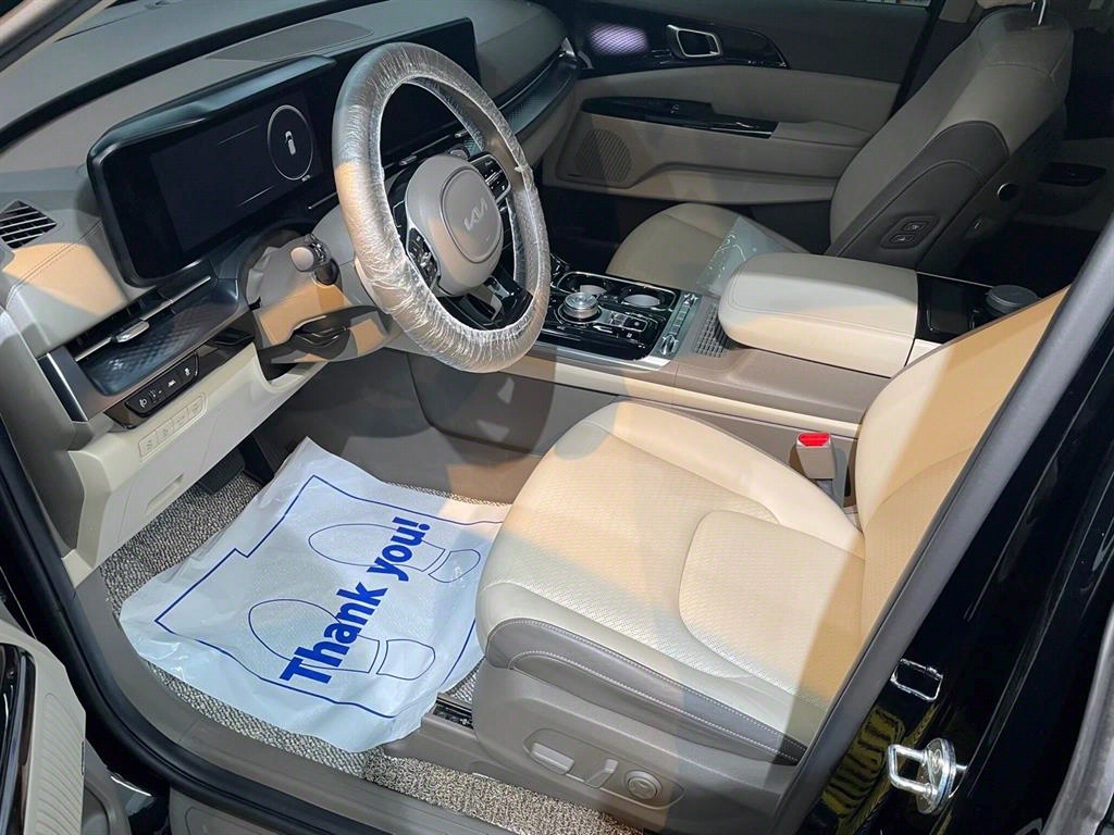 KIA Carnival - Vista 12