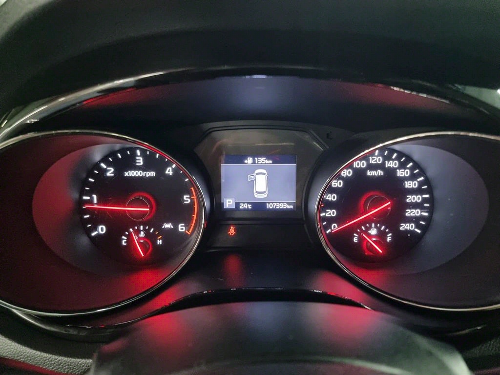 KIA Carnival - Vista 12